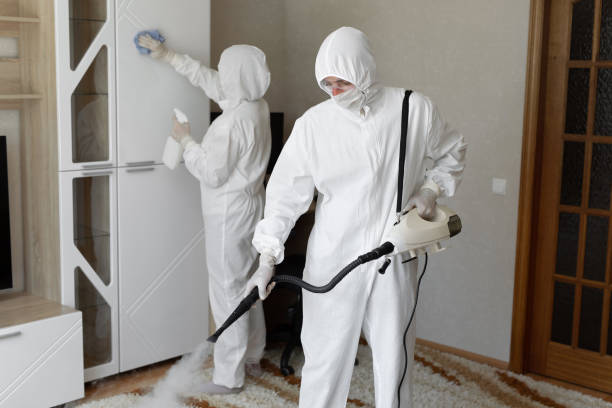 Mold Removal Process in Lake Arbor, MD